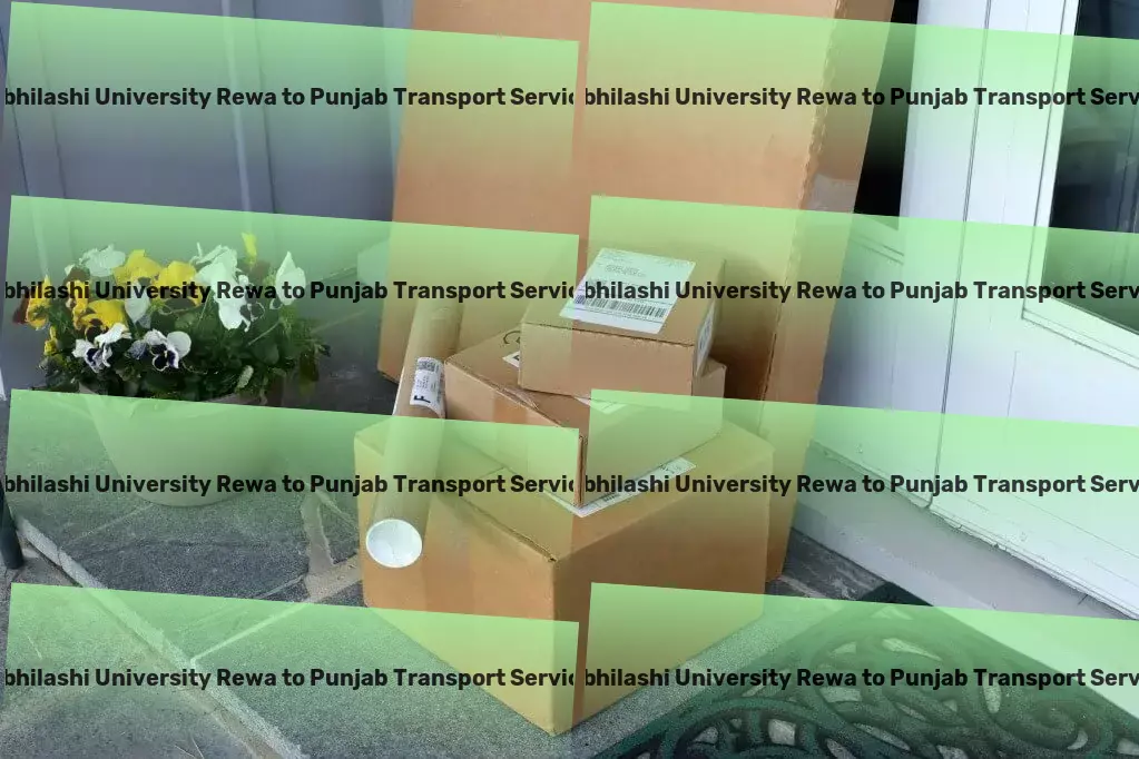 Abhilashi University Rewa to Punjab Transport Furniture moving operations